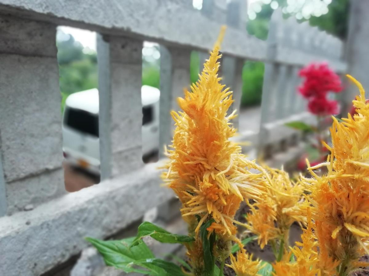 Ella Delightful Surround Homestay 외부 사진
