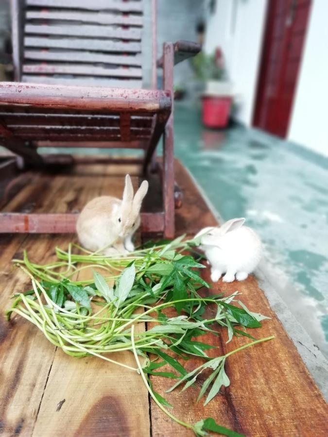 Ella Delightful Surround Homestay 외부 사진