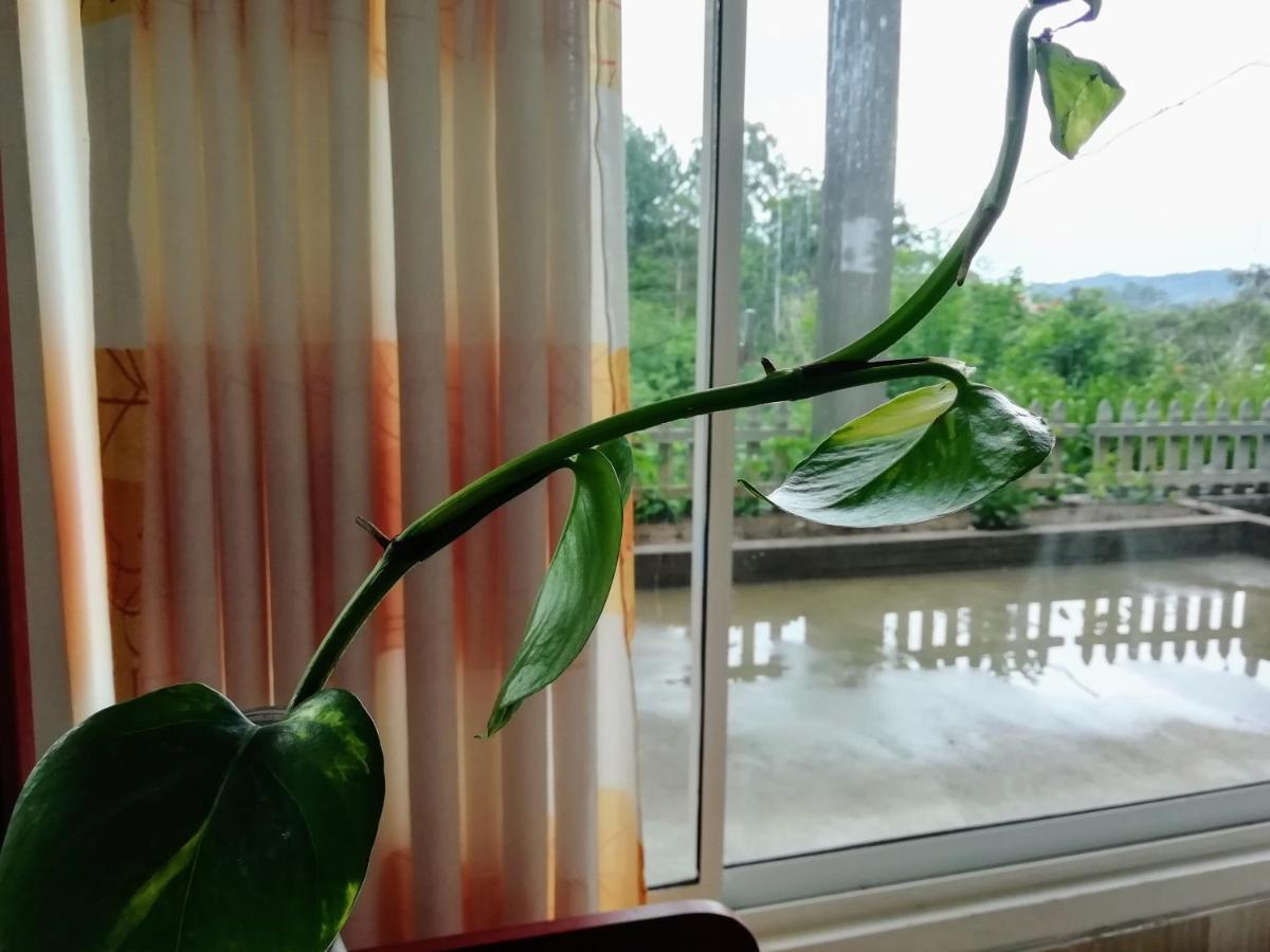 Ella Delightful Surround Homestay 외부 사진