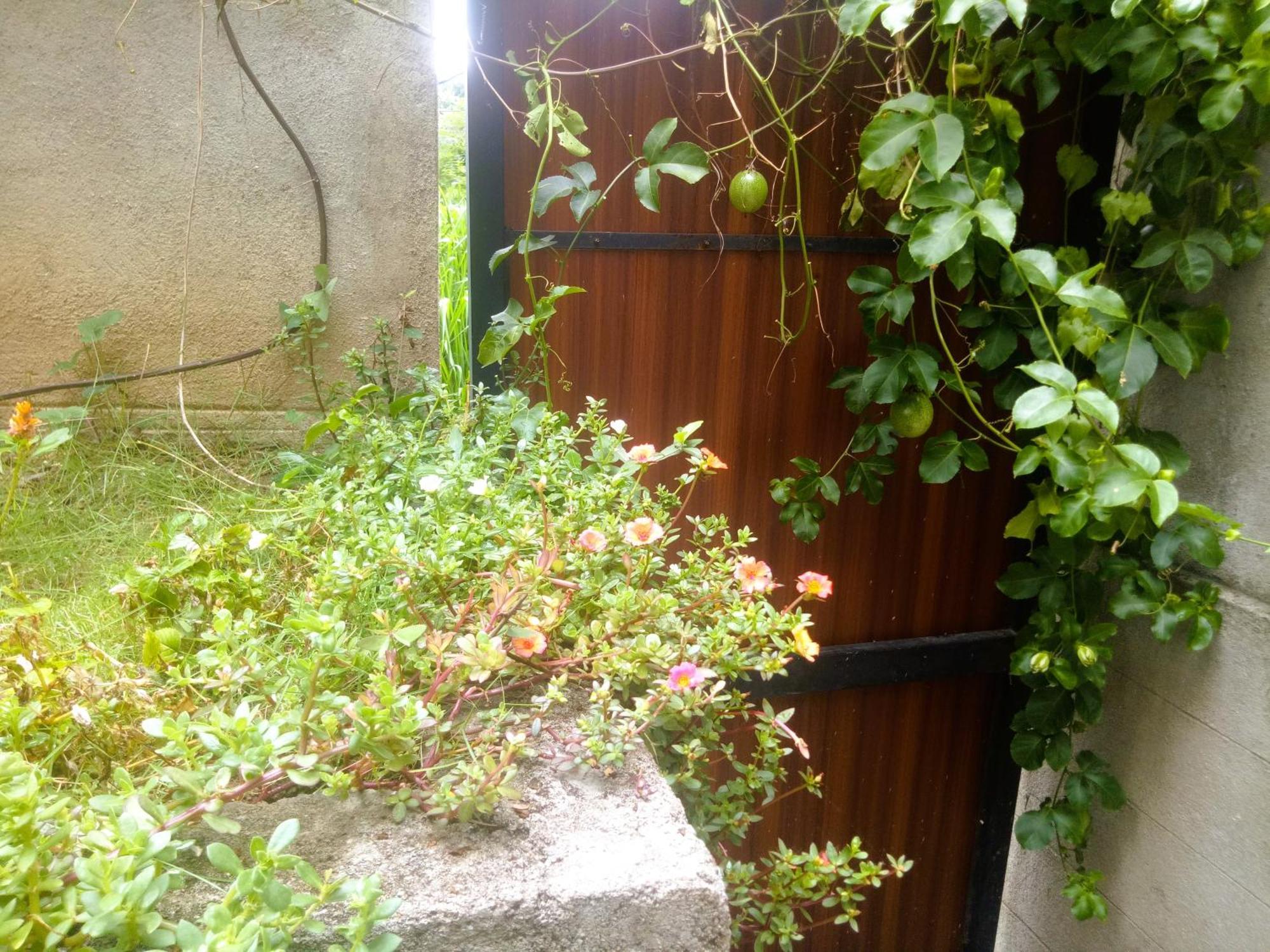 Ella Delightful Surround Homestay 외부 사진